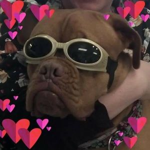 Meet your Posher, Leslie